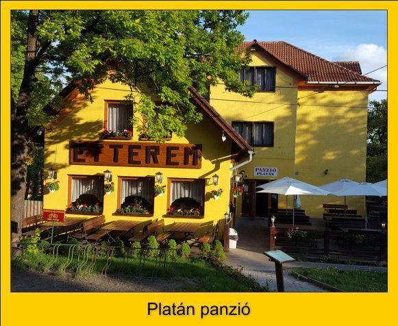 Готель Platan Panzio Добоґовкив Екстер'єр фото